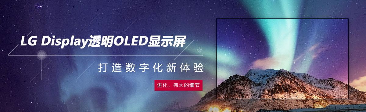 LG Display͸OLED@ʾ씵(sh)ֻw