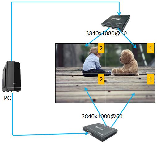 Bitvisus bitvisus2020̖̎O